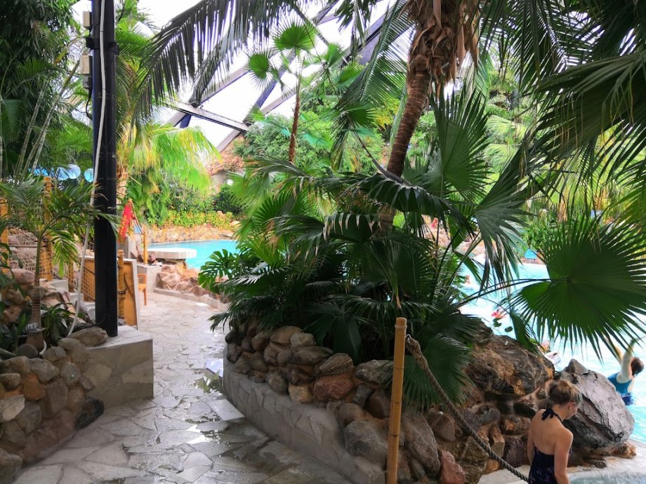 Sherwood Forest Subtropical Swimming Paradise - Foto 2