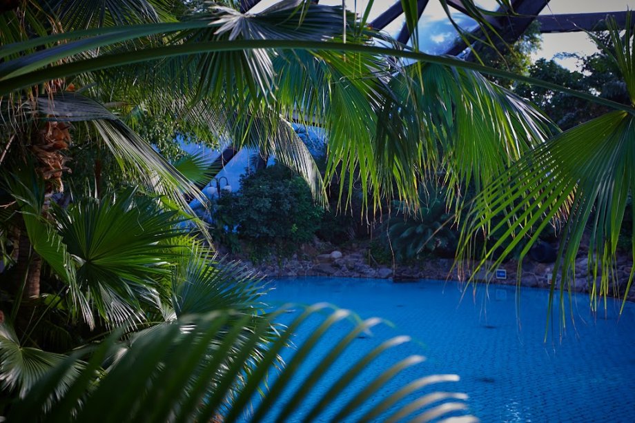 Sherwood Forest Subtropical Swimming Paradise - Foto 9