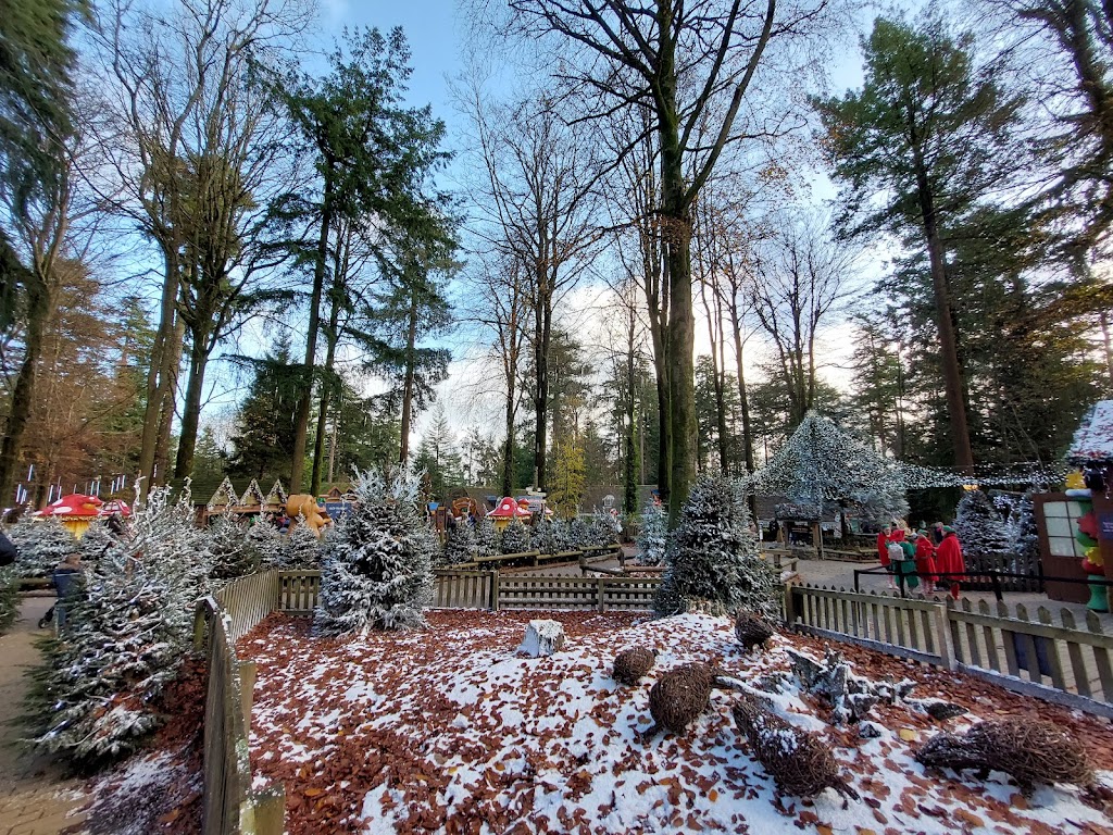 Longleat Forest Subtropical Swimming Paradise - Foto 1