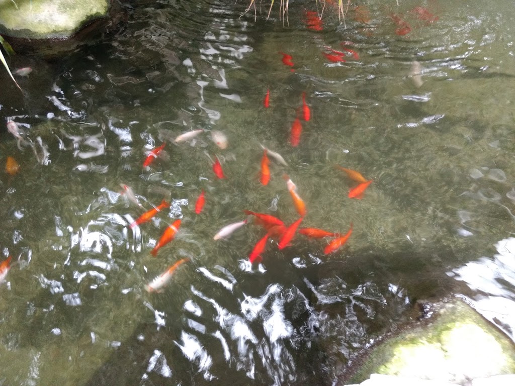 Longleat Forest Subtropical Swimming Paradise - Foto 1
