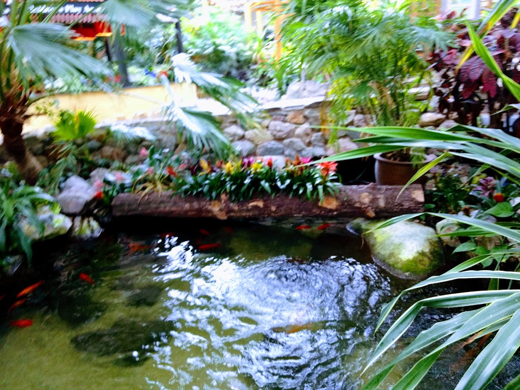 Longleat Forest Subtropical Swimming Paradise - Foto 1