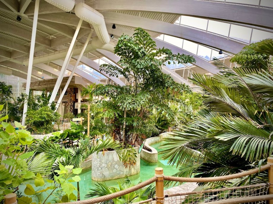 Woburn Forest Subtropical Swimming Paradise - Foto 8