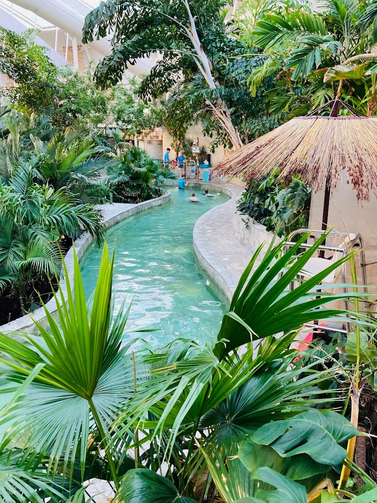 Woburn Forest Subtropical Swimming Paradise - Foto 10