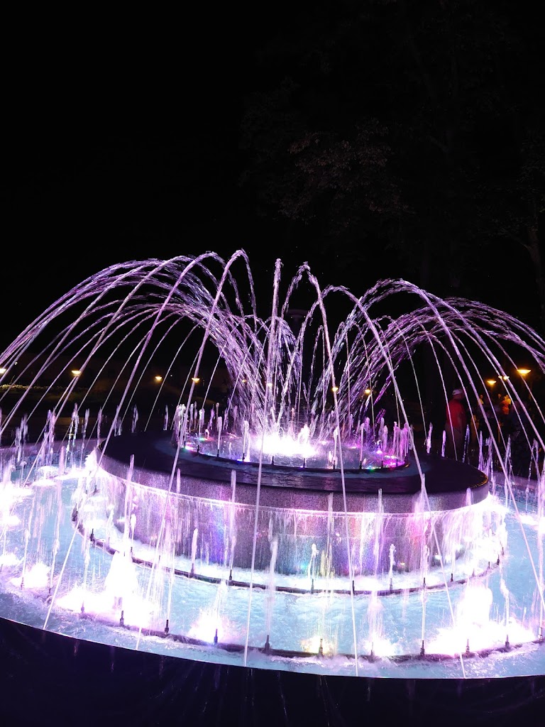 Druskininkai Aquapark - Foto 10