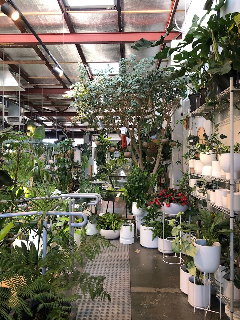 Bar Botanik - Foto 1