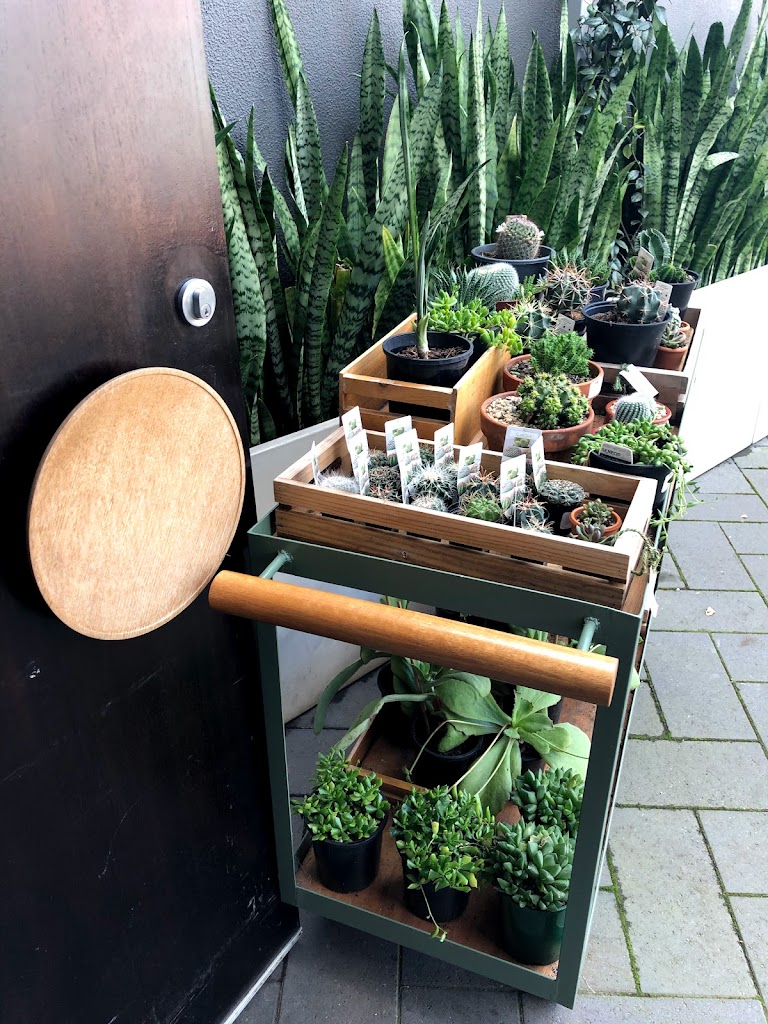 Bar Botanik - Foto 3