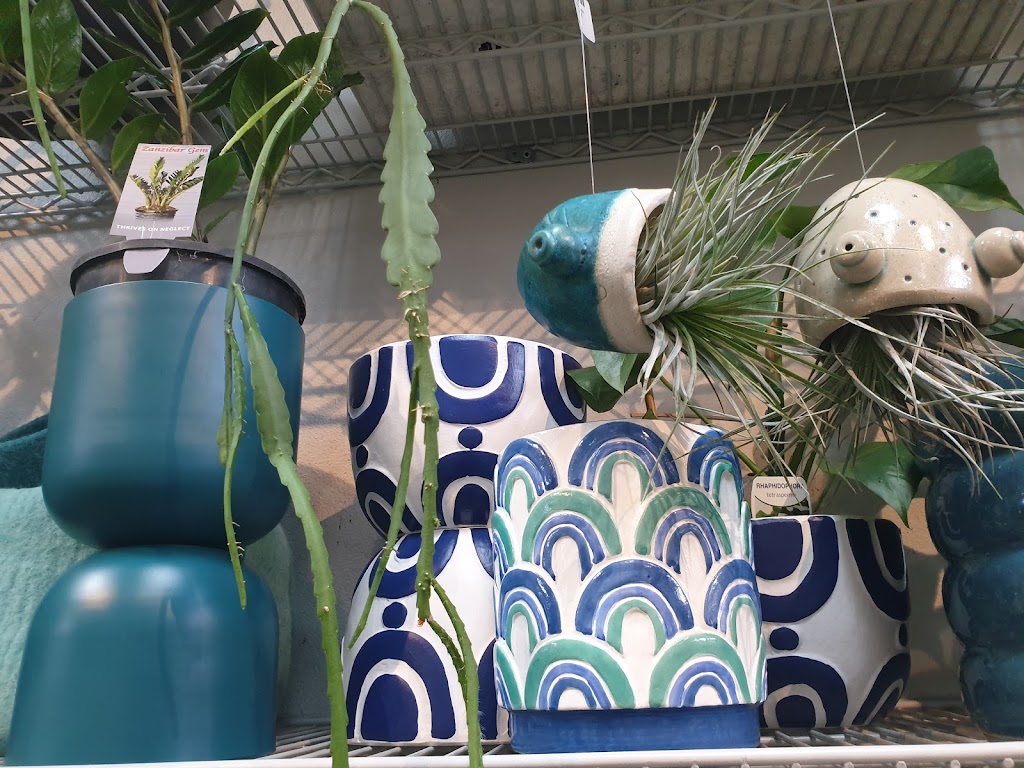 Bar Botanik - Foto 1