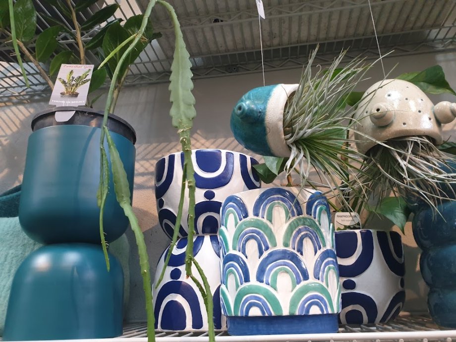 Bar Botanik - Foto 4