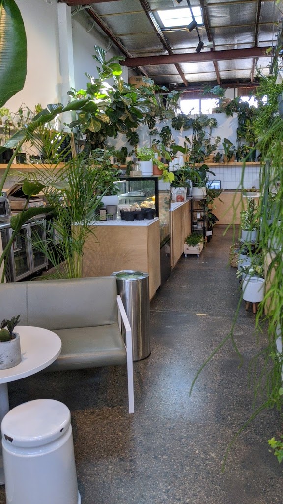 Bar Botanik - Foto 1