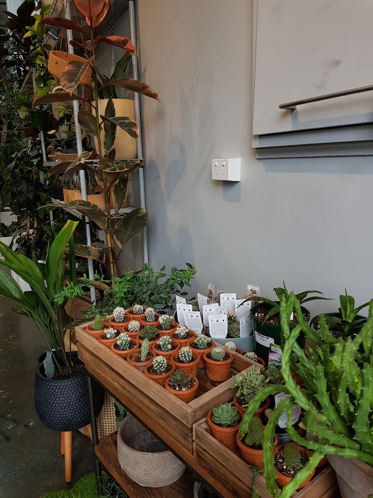 Bar Botanik - Foto 1