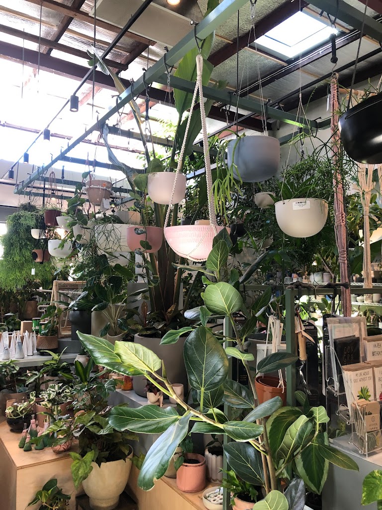 Bar Botanik - Foto 8