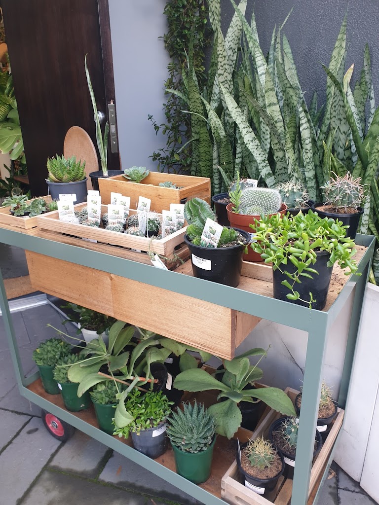 Bar Botanik - Foto 1