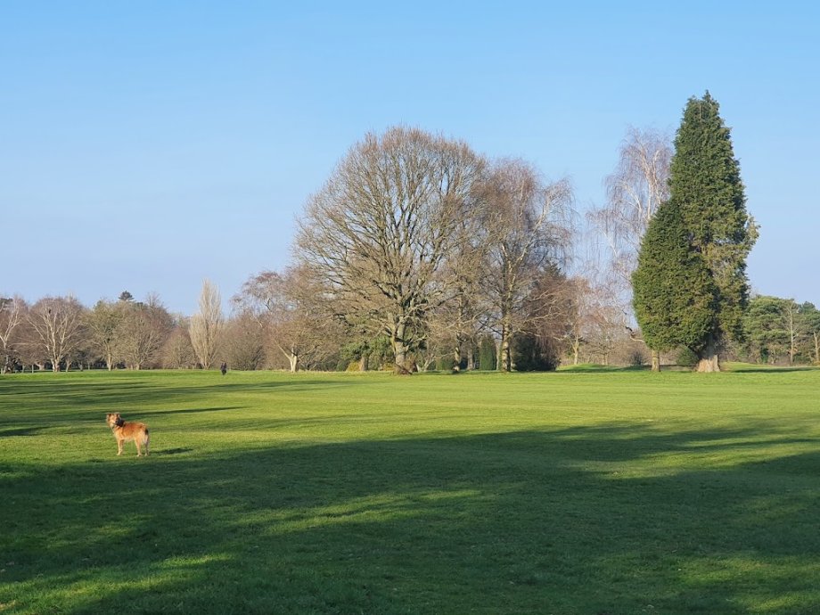 Pistachios in The Park - Grange Park - Foto 6