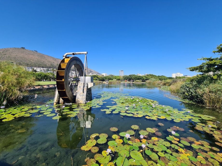 Green Point Park - Foto 7