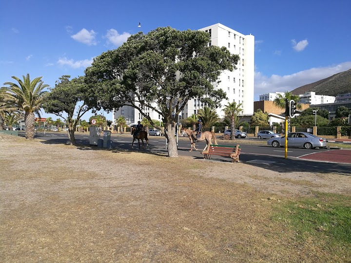 Green Point Park - Foto 1