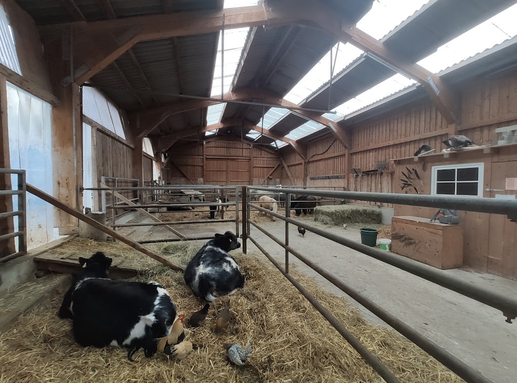 Familotel Ottonenhof - Foto 1