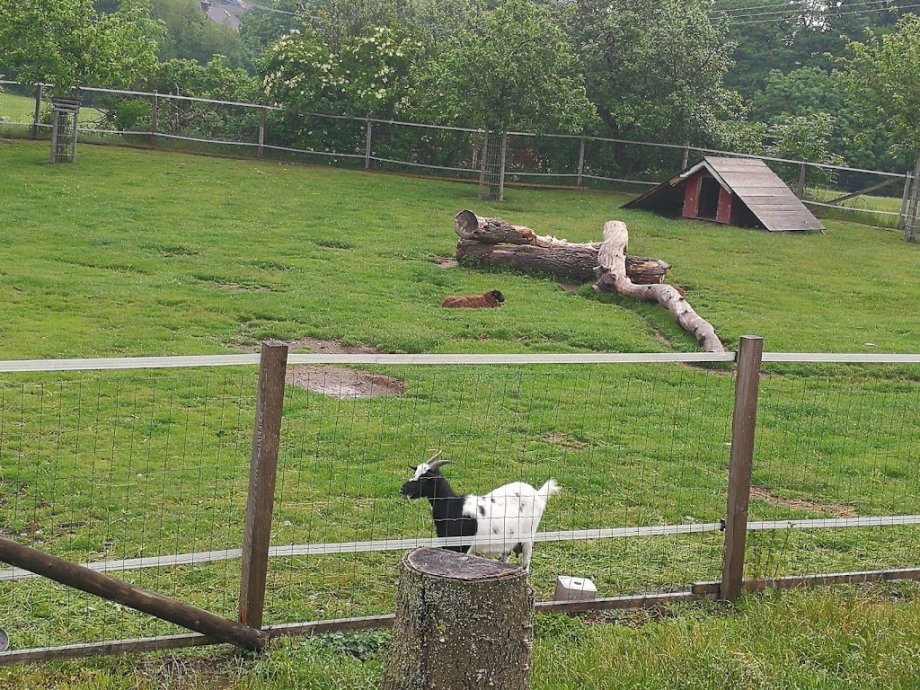 Familotel Ottonenhof - Foto 6