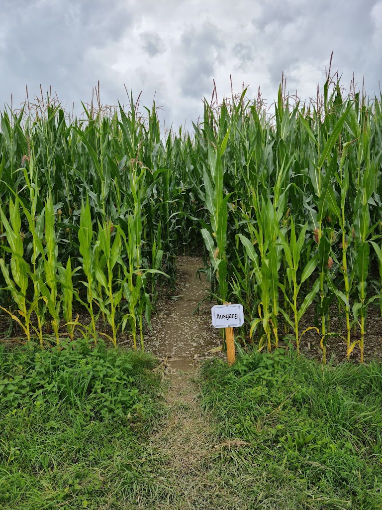 Familotel Ottonenhof - Foto 8