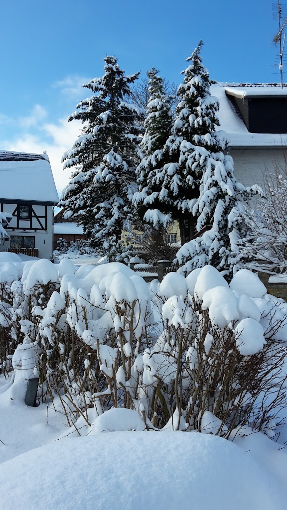 Familotel Ottonenhof - Foto 1