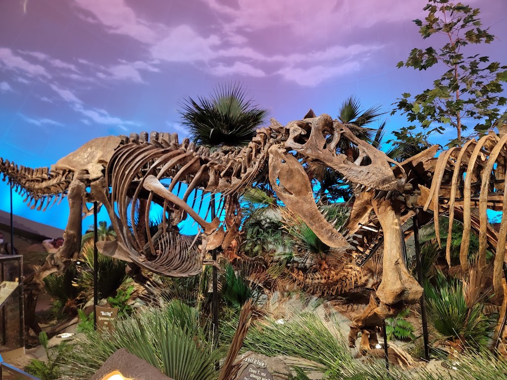 Museo de los Niños de Indianápolis - Foto 1