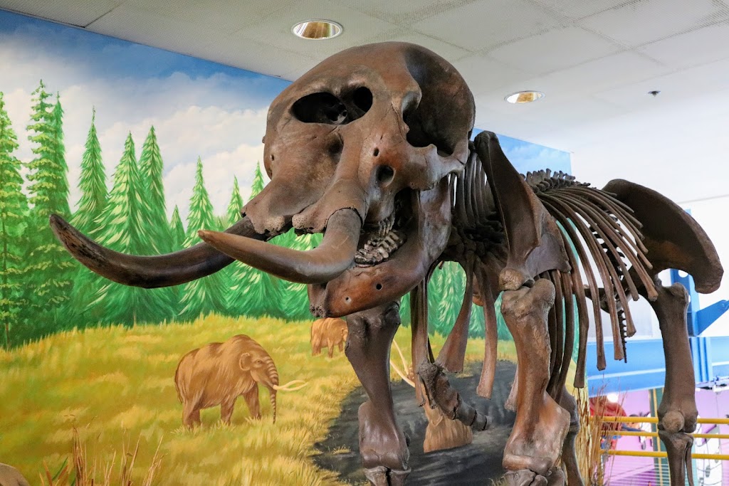 Museo de los Niños de Indianápolis - Foto 1