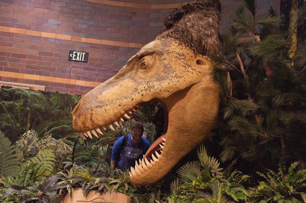 Museo de los Niños de Indianápolis - Foto 1