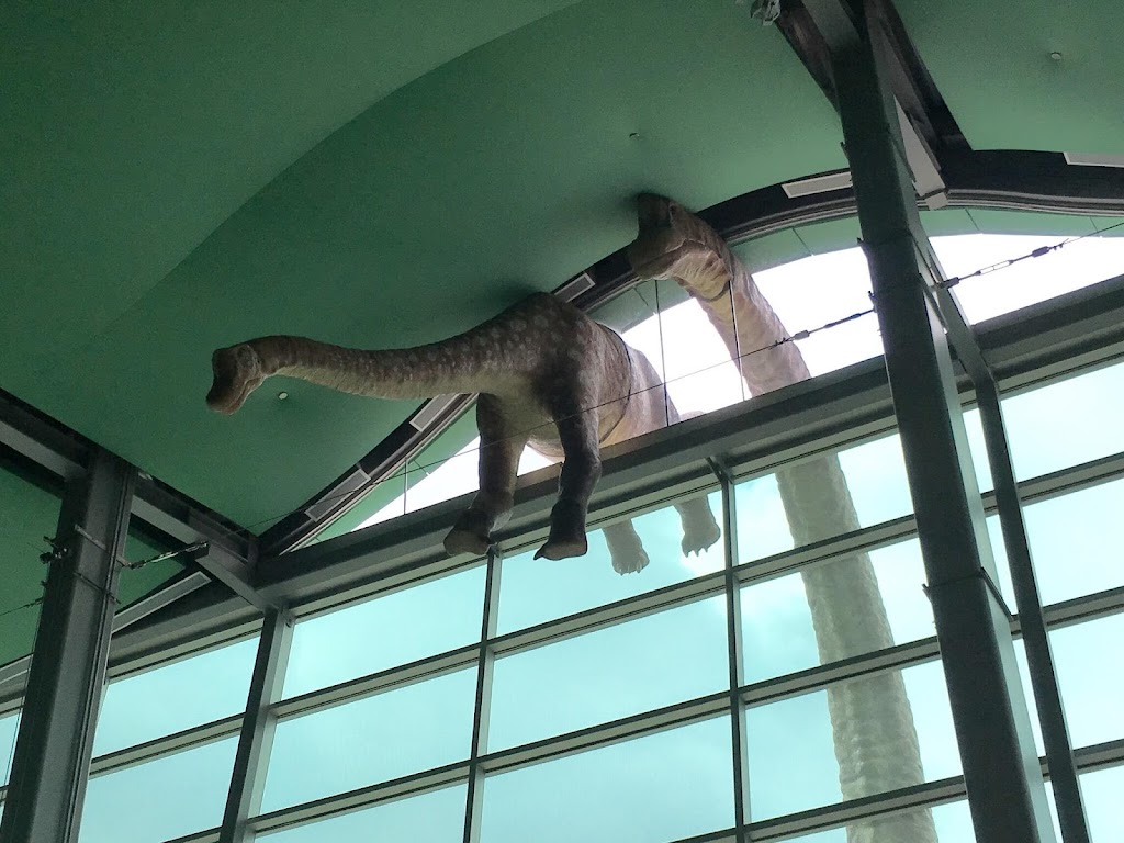 Museo de los Niños de Indianápolis - Foto 1