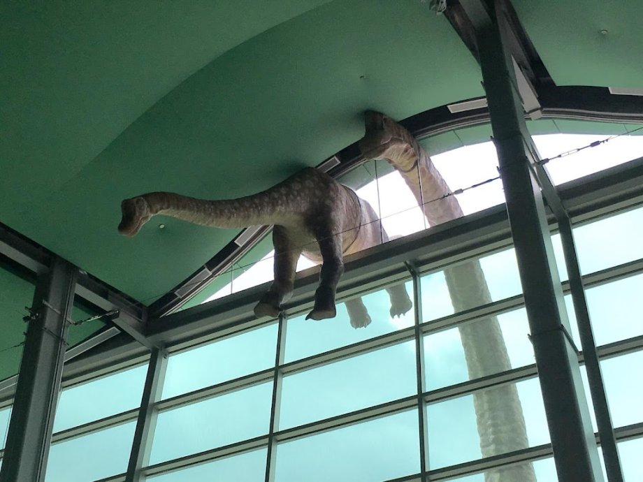 Museo de los Niños de Indianápolis - Foto 10