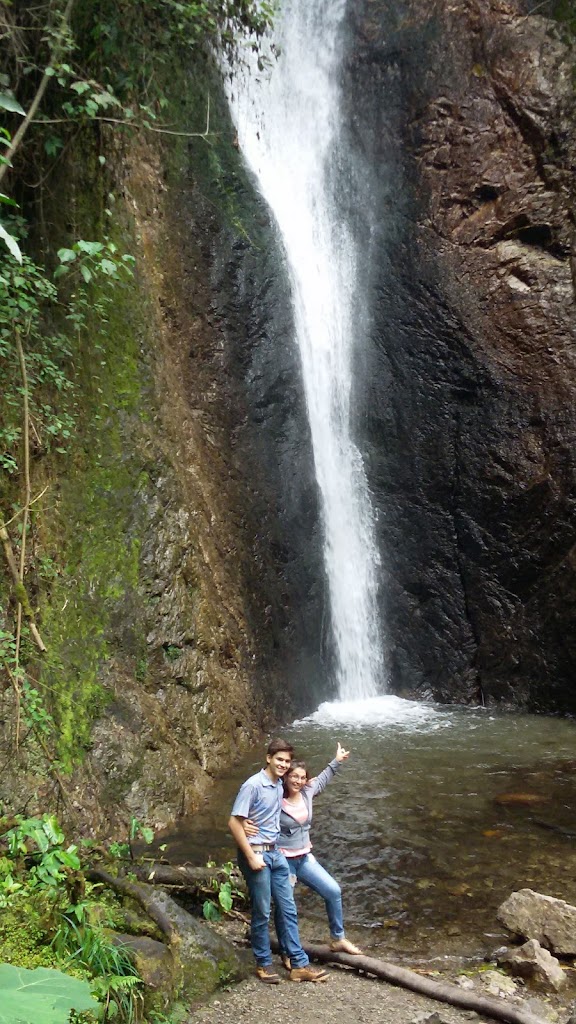 Parque Recreacional Carlos Raúl Villanueva - Foto 8