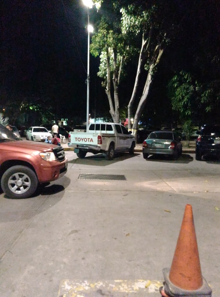 Parque Recreacional Carlos Raúl Villanueva - Foto 9