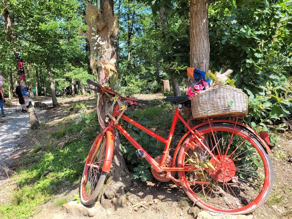 Märchenwald Burgschwalbach - Foto 1