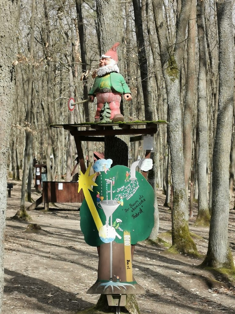 Märchenwald Burgschwalbach - Foto 1