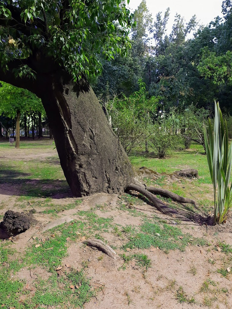 Parque De Lomas De Zamora - Foto 5