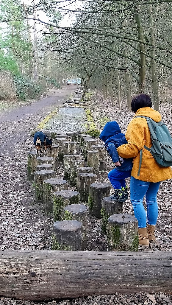 Abenteuerspielplatz Dudenhofen - Foto 9
