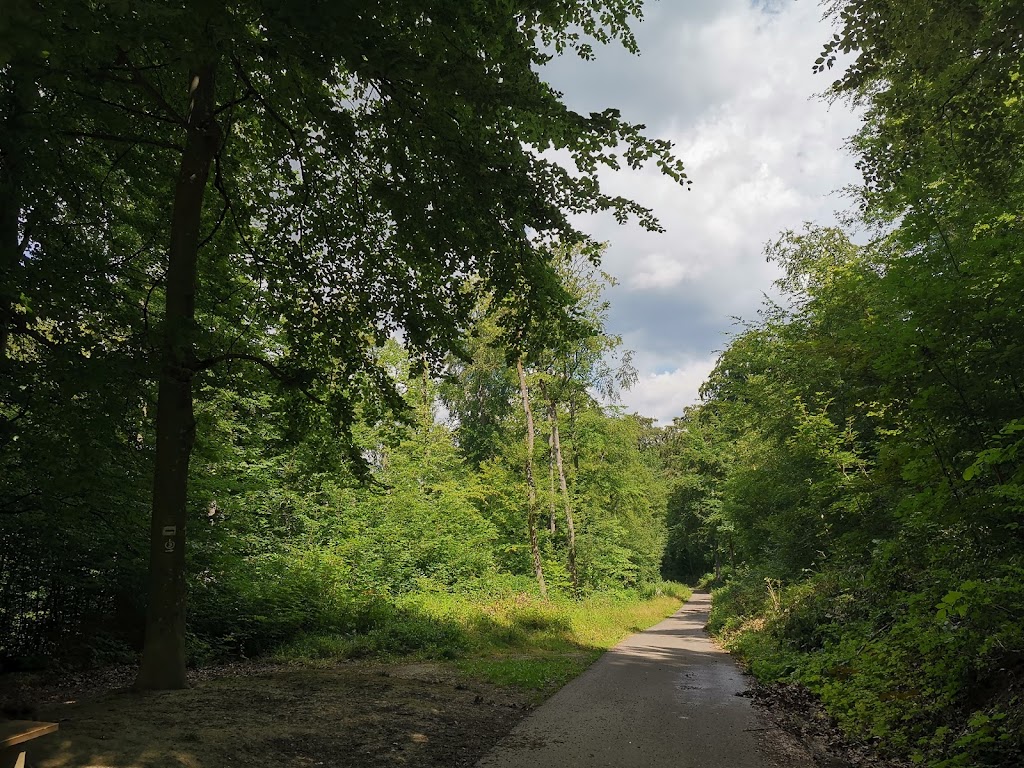 Abenteuerspielplatz Spuk im Wald - Foto 1