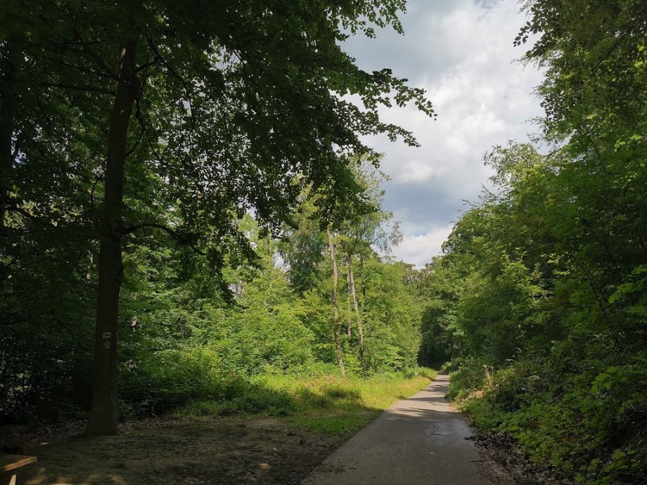 Abenteuerspielplatz Spuk im Wald - Foto 3