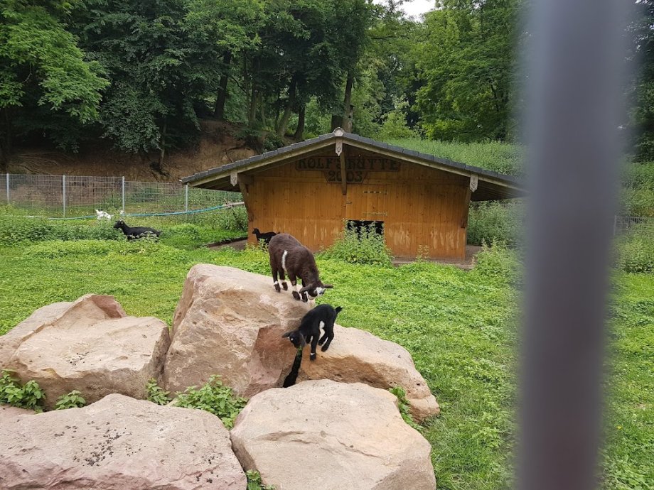 Abenteuerspielplatz Spuk im Wald - Foto 4