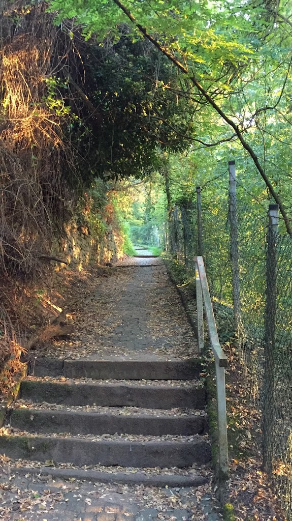 Abenteuerspielplatz Spuk im Wald - Foto 8