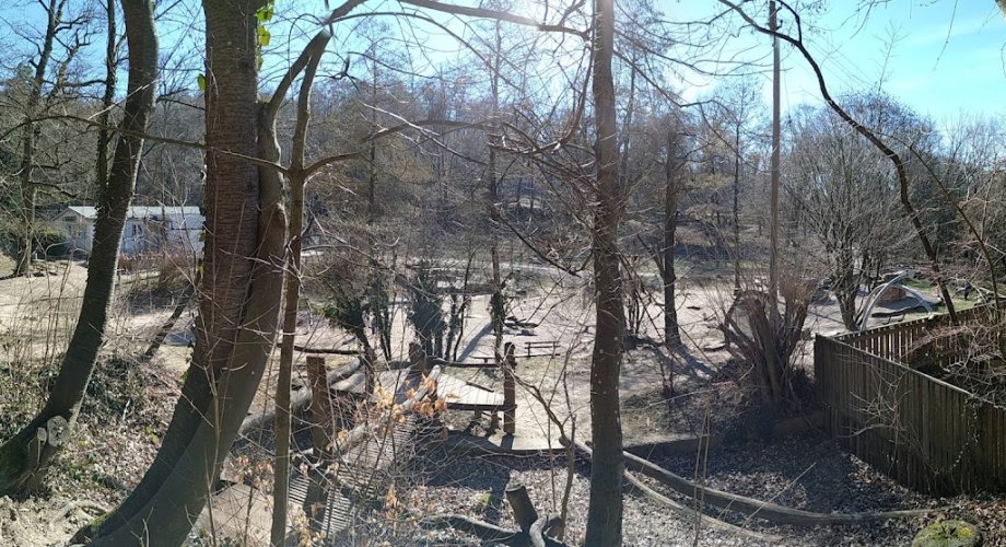 Abenteuerspielplatz Spuk im Wald - Foto 10