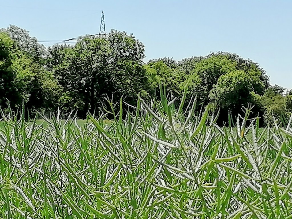 Abenteuerspielplatz Hasenbergl - ABIX (Kreisjugendring München-Stadt) - Foto 1