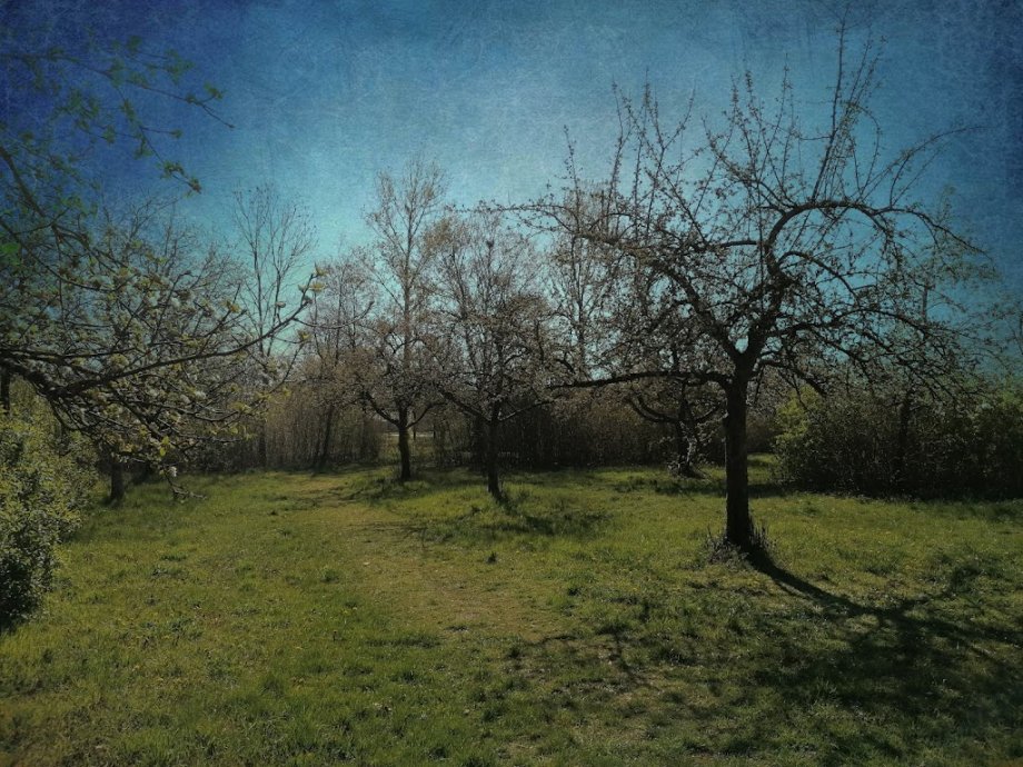 Abenteuerspielplatz Hasenbergl - ABIX (Kreisjugendring München-Stadt) - Foto 6