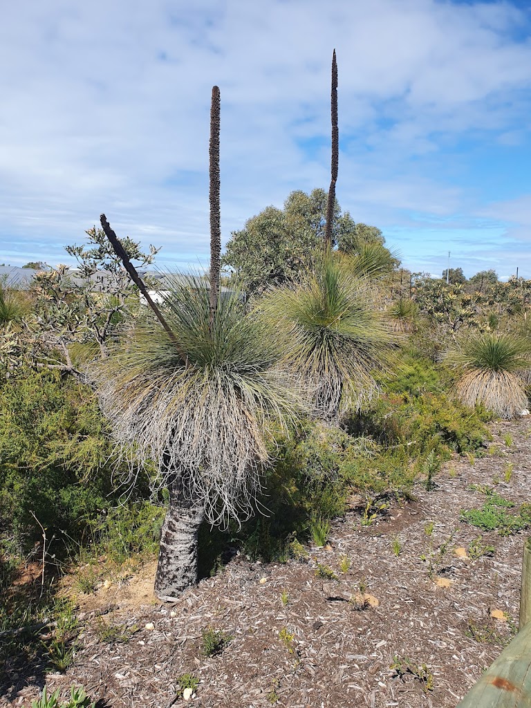 Halesworth Park - Foto 1