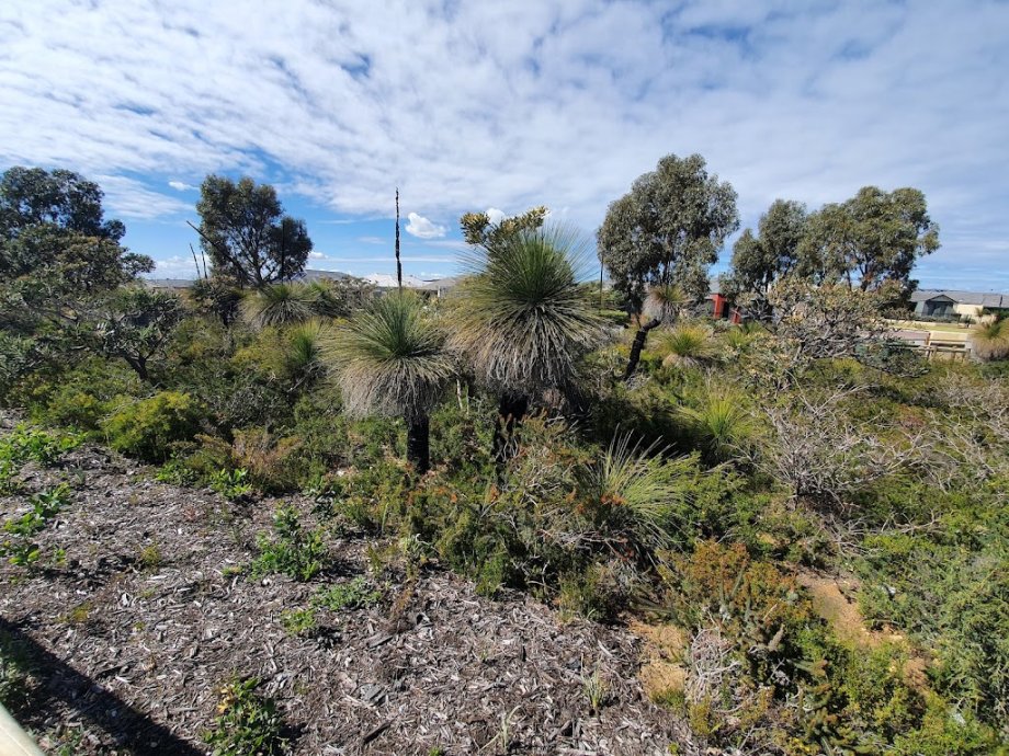 Halesworth Park - Foto 6