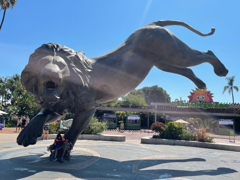 Zoológico de San Diego - Foto 4