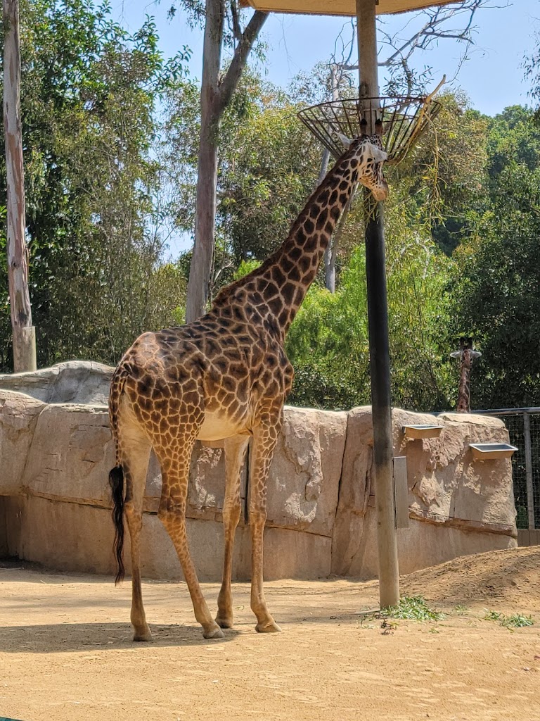 Zoológico de San Diego - Foto 1