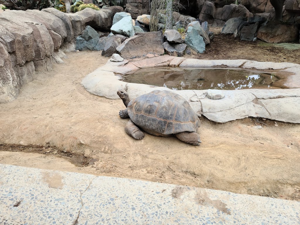 Zoológico de San Diego - Foto 1