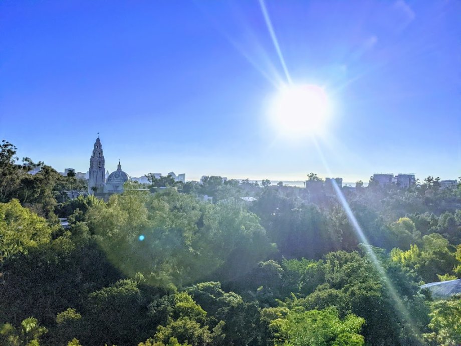Zoológico de San Diego - Foto 3