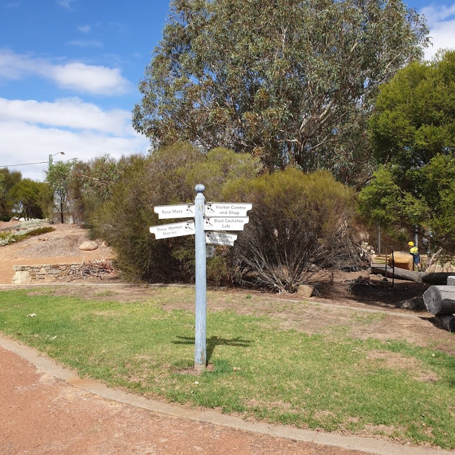 Black Cockatoo - Foto 4