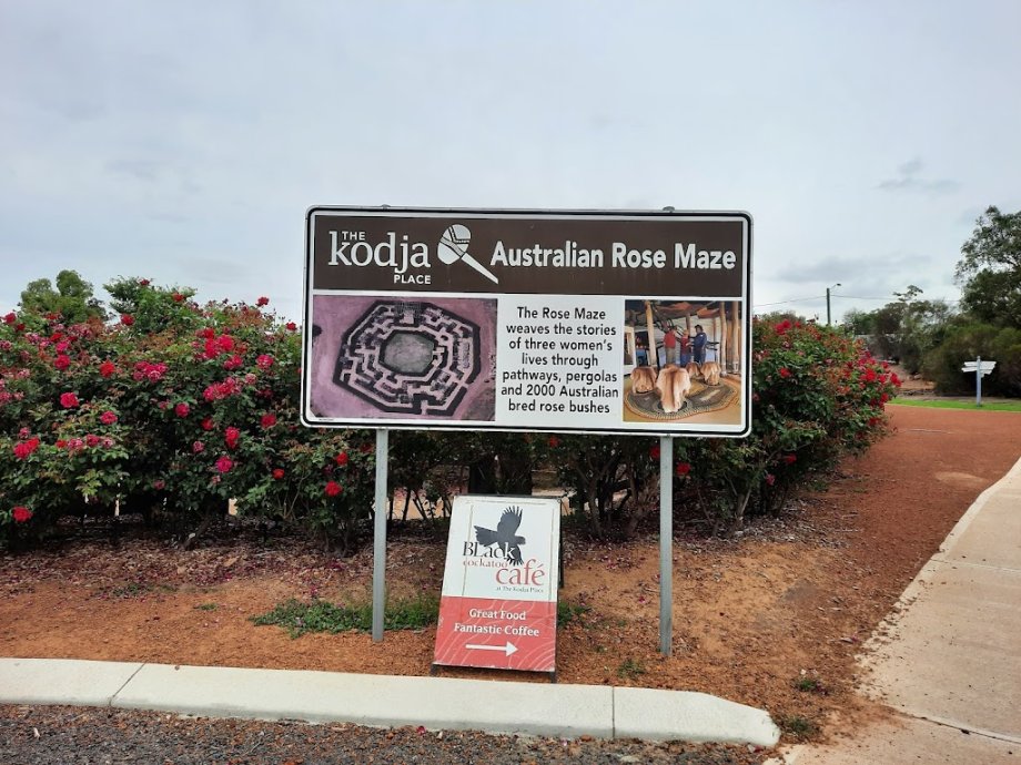 Black Cockatoo - Foto 8