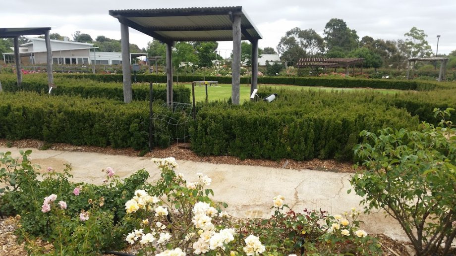 Black Cockatoo - Foto 9